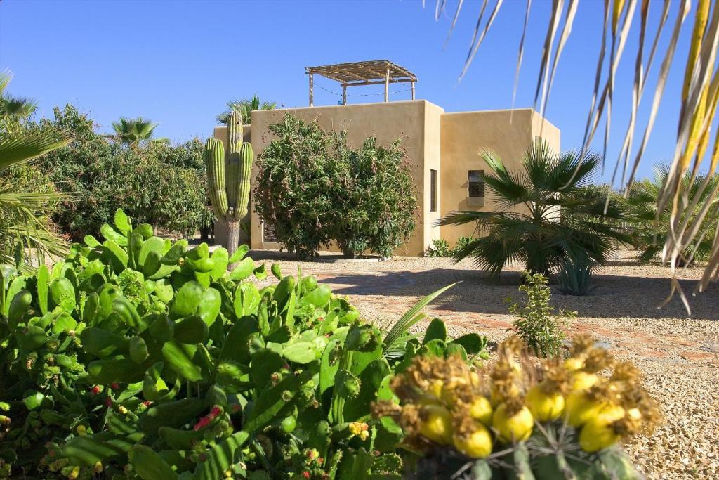 Sole Caliente Villa Todos Santos Exterior photo