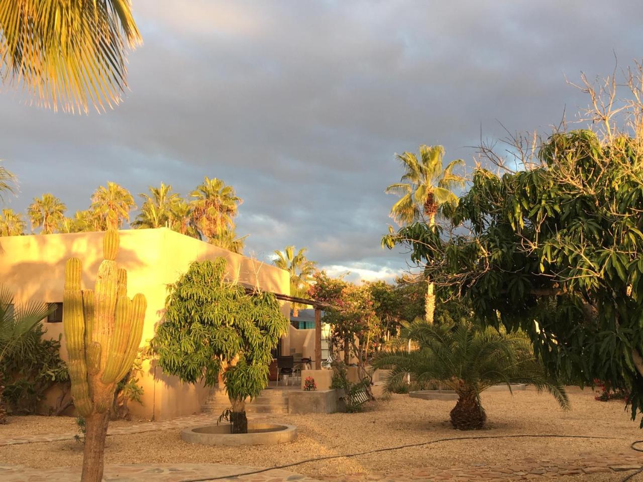 Sole Caliente Villa Todos Santos Exterior photo